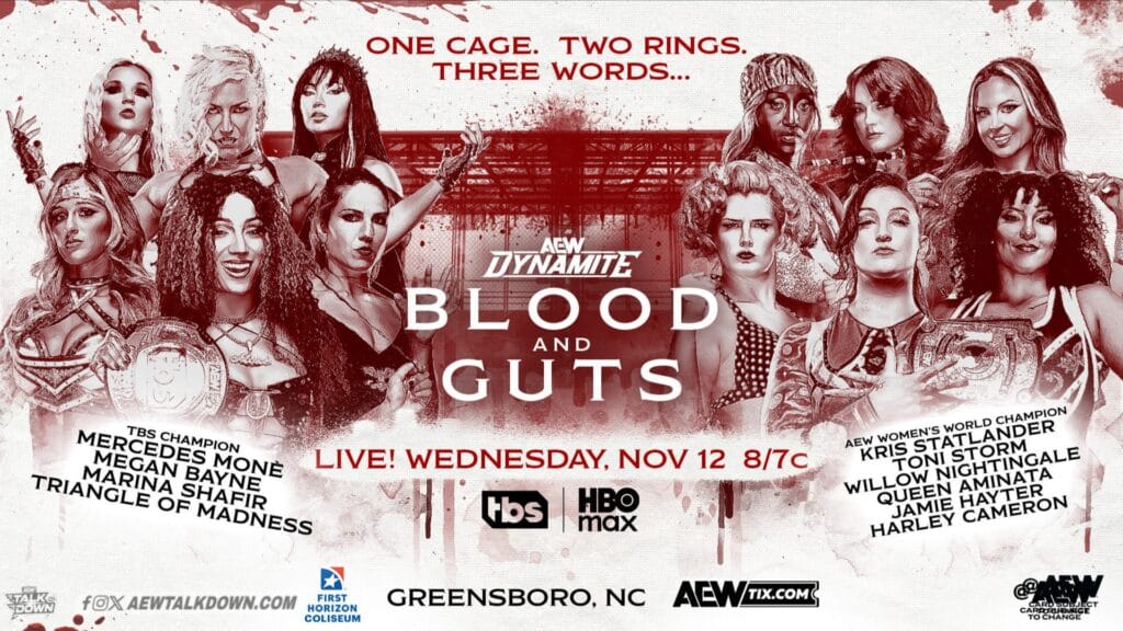 Historic Announcement: AEW Women's Blood & Guts Match Set for November 12, 2025